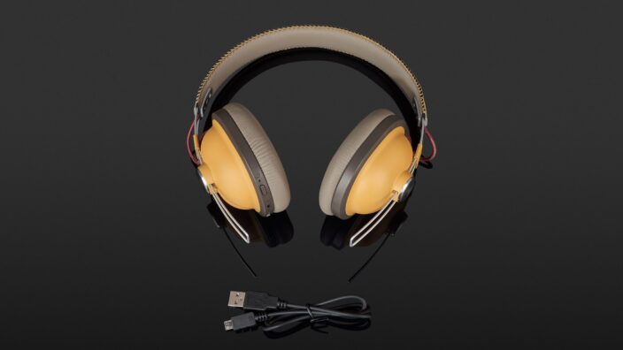 Panasonic RP-HTX80B