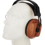 Fostex T60RP