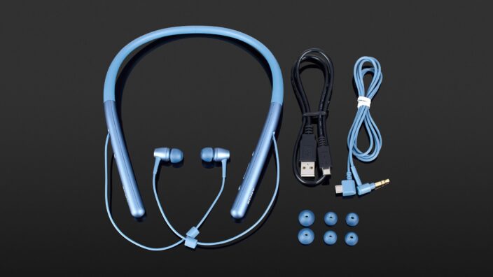 Sony WI-H700
