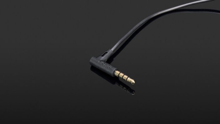 Denon AH-D1200