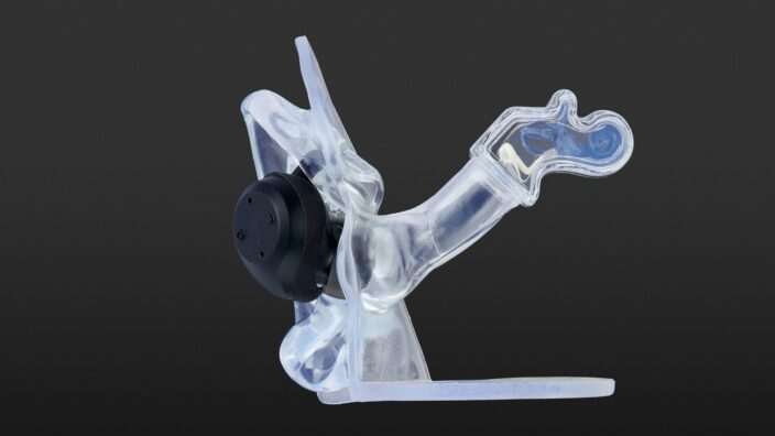 Jabra Elite Sport