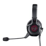 Teufel Cage 2020
