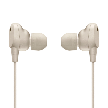 Sony WI-1000XM2