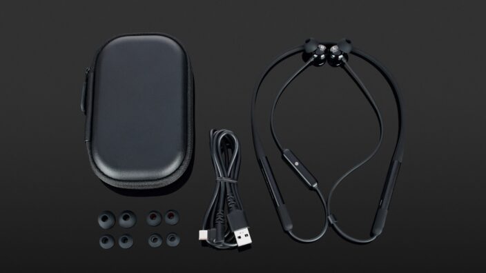 Beyerdynamic Blue Byrd 2. Generation