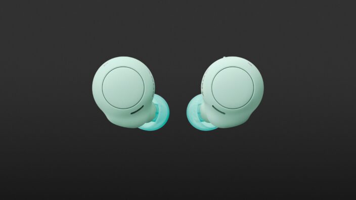 Sony WF-C500