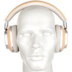 Bowers & Wilkins Px8