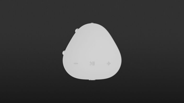 Sonos Roam SL