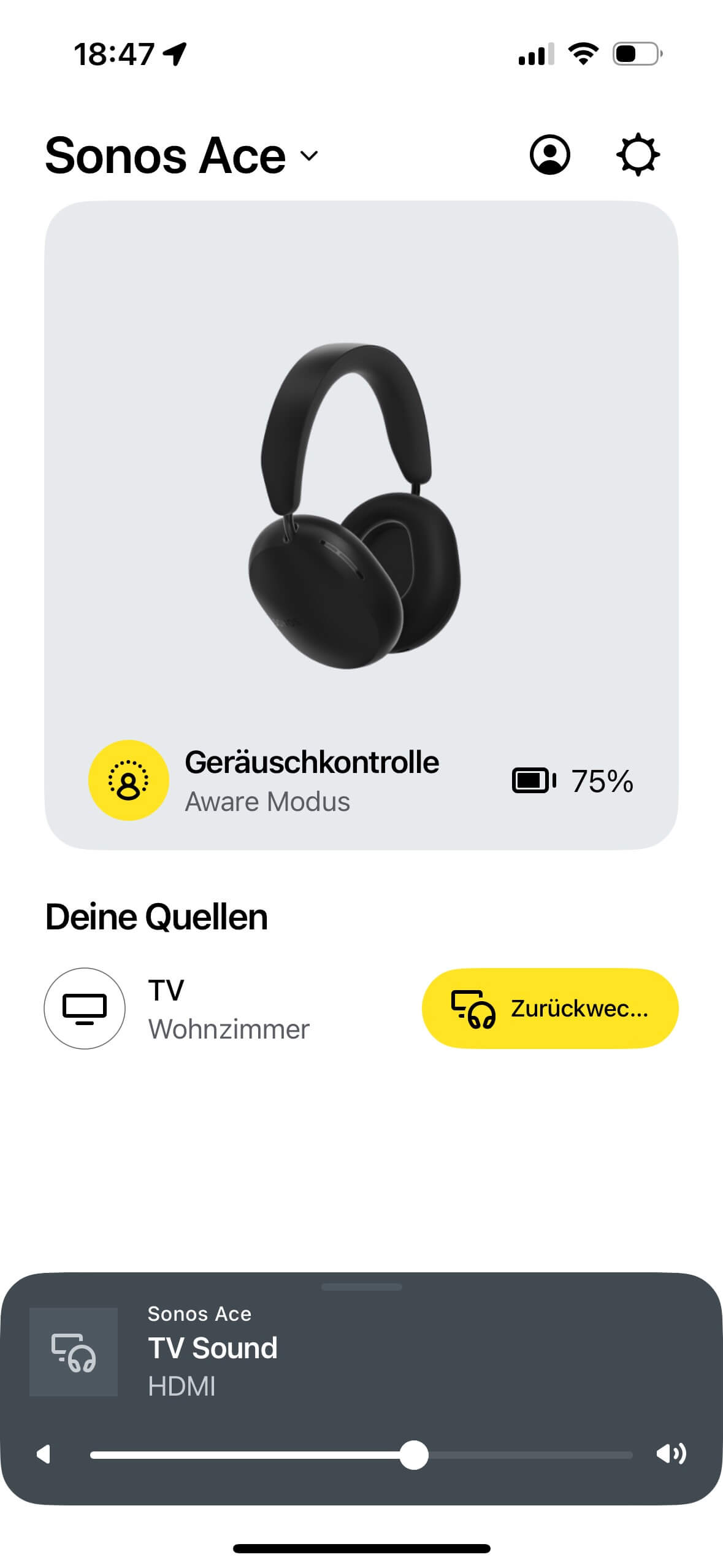 Sonos Ace Einbindung Arc_5