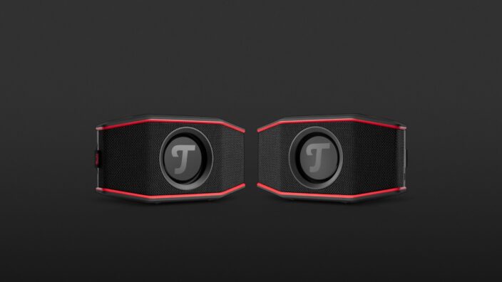 Teufel Rockster Go 2