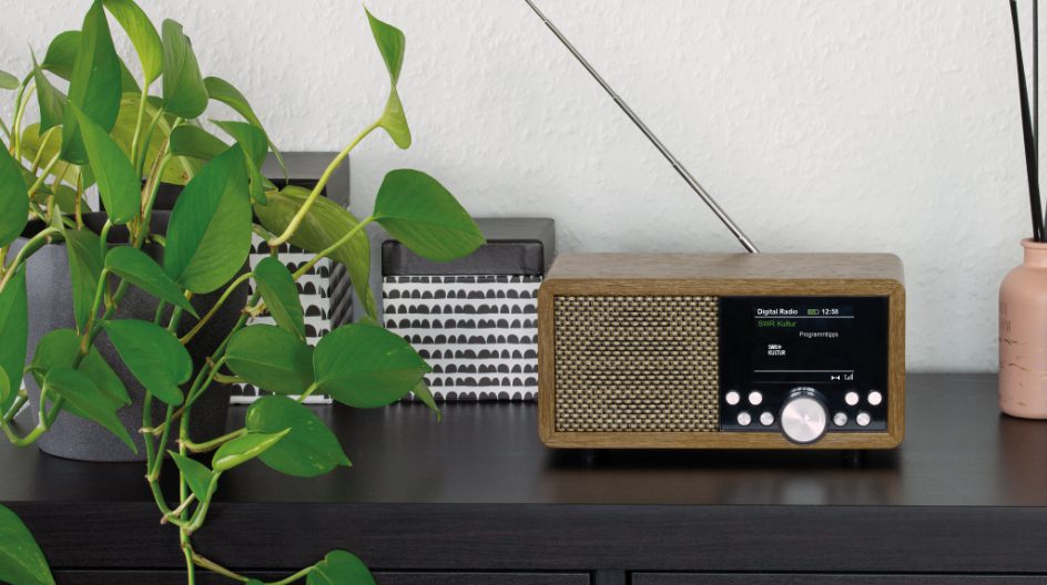 Dynavox DBT600