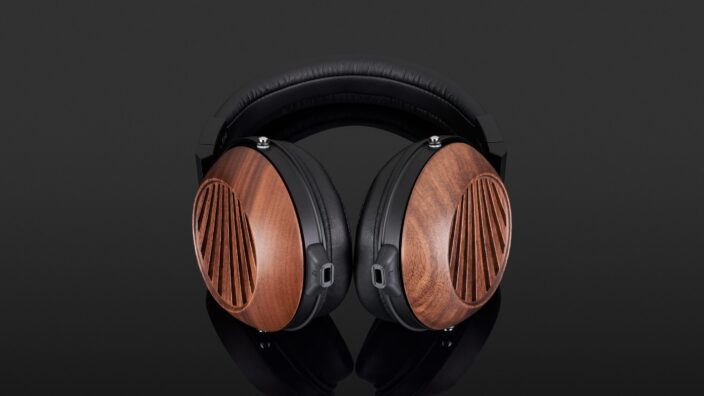 Fostex TH616