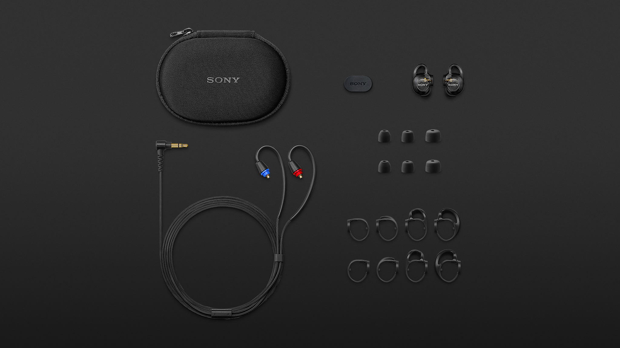 Sony IER-M500